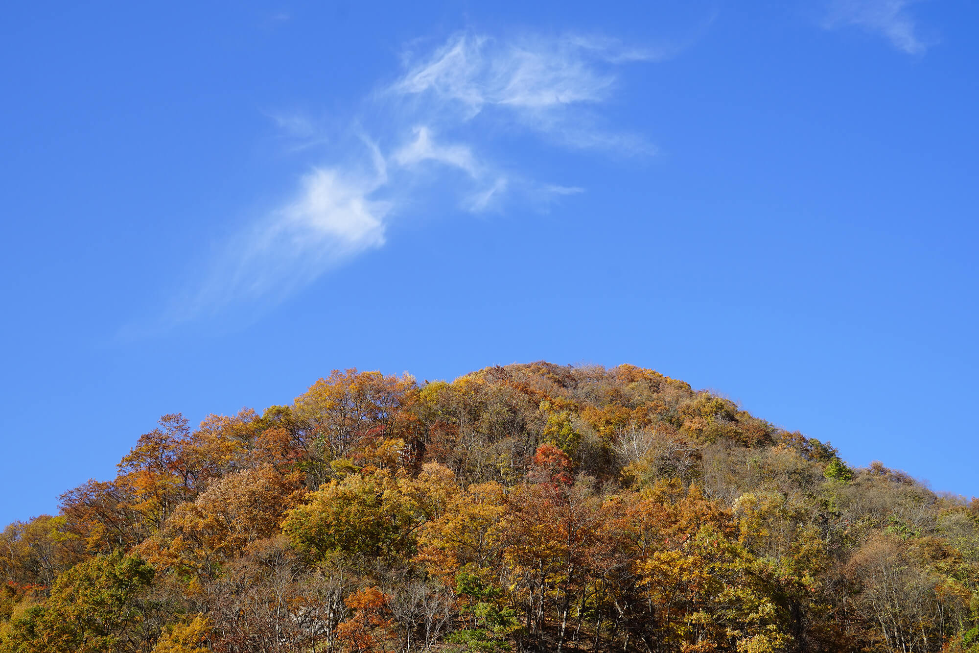 山並み  秋