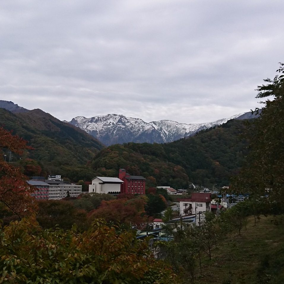 さ、寒い・・・