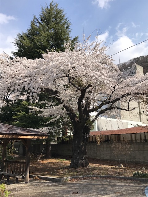 風花舞う