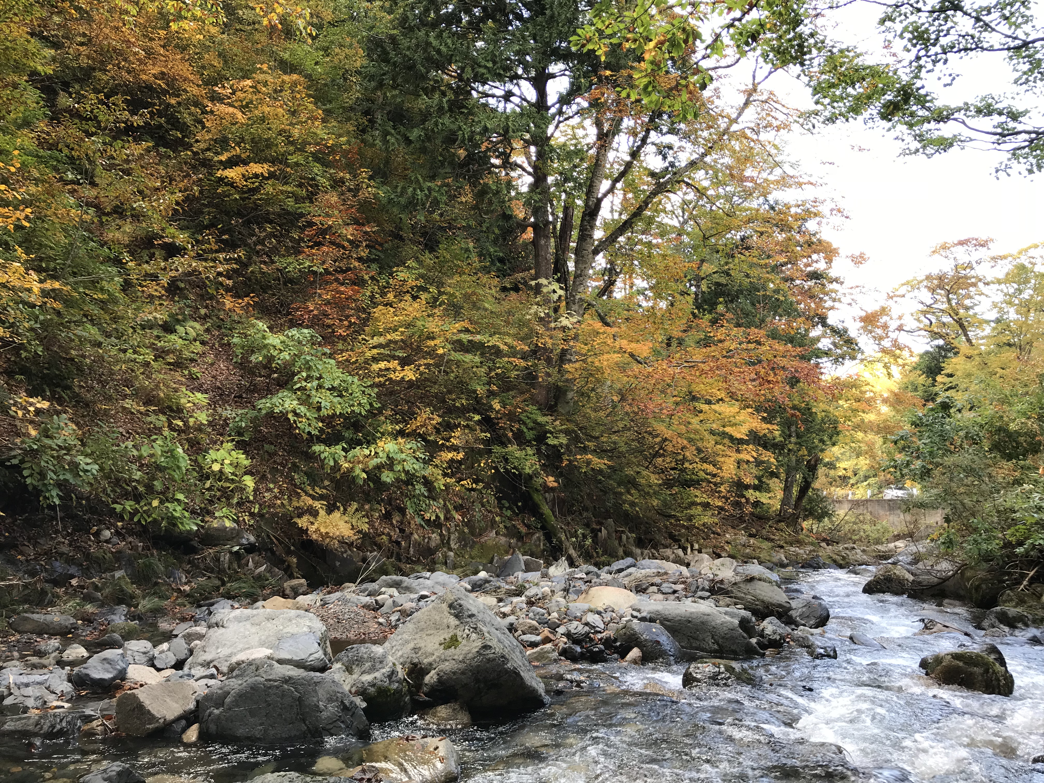 秋の気配