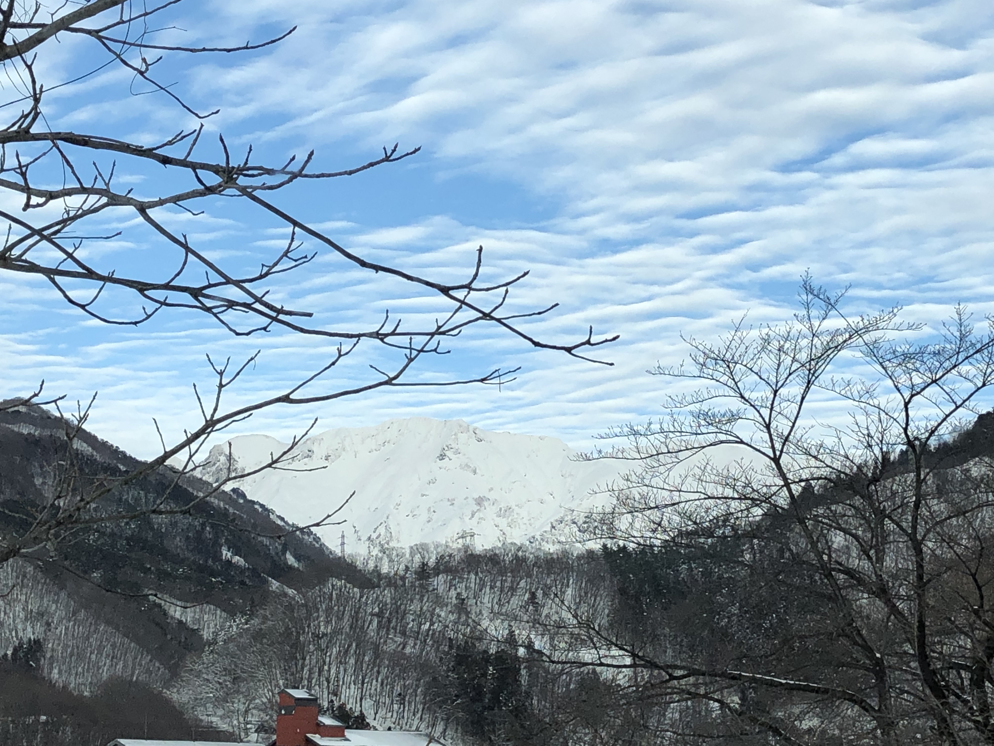 本年もどうぞ宜しくお願い致します(^-^)