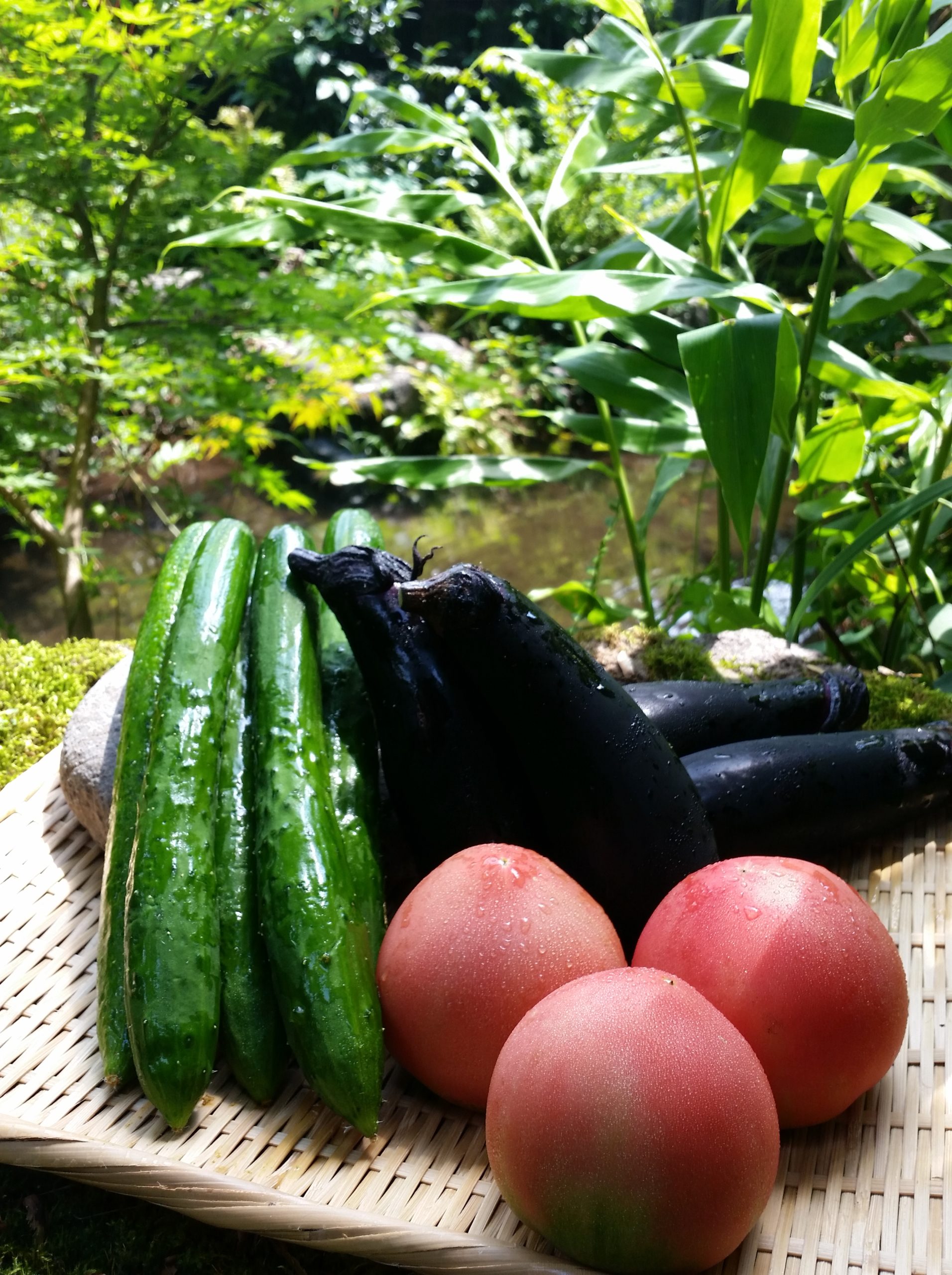 美味しいお野菜届いてます！