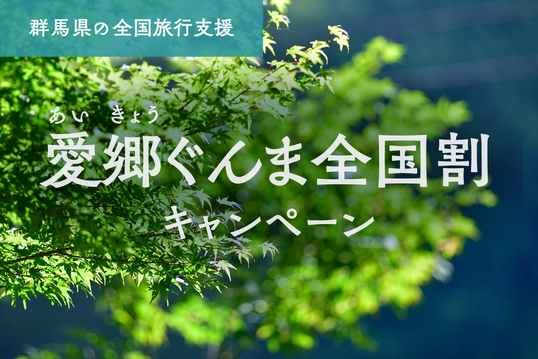 【受付終了のお知らせ】愛郷ぐんま全国割について