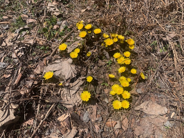 休館日のお知らせ